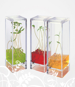 Plantarium Garden Set