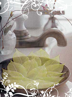 Soap Leaves