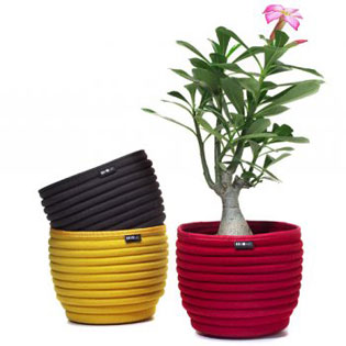 MIO Beehive SoftBowls
