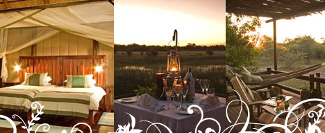 Chief’s Camp Botswana