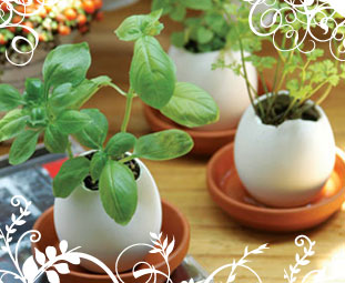 Eggling