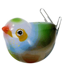 Russell+Hazel - Bird Magnet