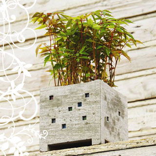 Cement Cube Planter by PULL+PUSH