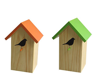 Bird at Home