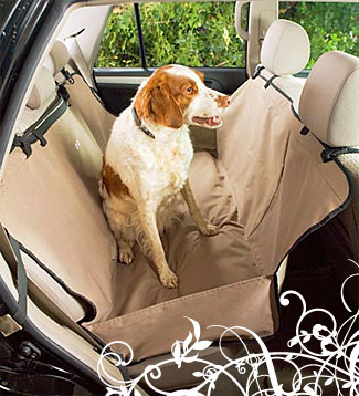 Backseat Hammock