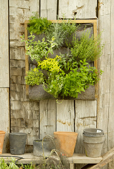 Terrain - Vertical Garden Terrain - Vertical Garden